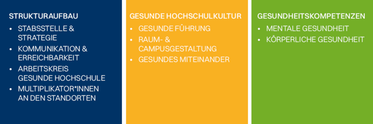 Eine dreifarbige Grafik, die in jedem der drei Felder ein Gesundheitsfeld definiert und Unterziele aufführt.