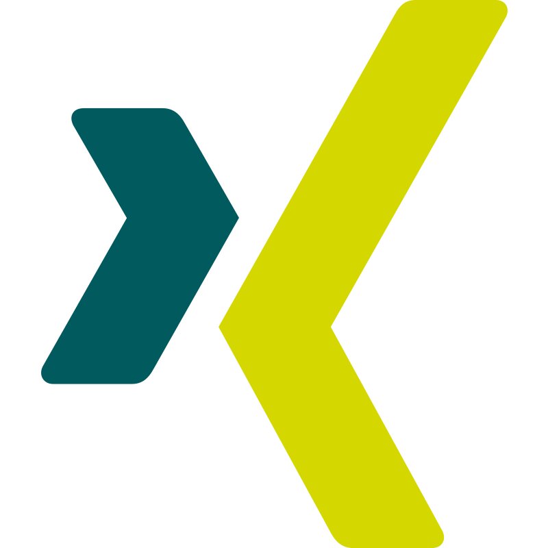 Xing Icon